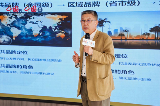 海南陶瓷文化产业协会会长姚明发言