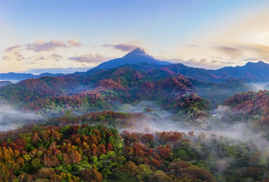 海南热带雨林国家公园五指山片区