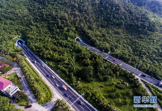 车辆从植被得到修复的三亚大茅隧道驶过(10月11日摄).