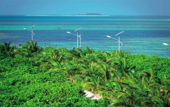 三沙市赵述岛披椰绿沙洲变成绿洲