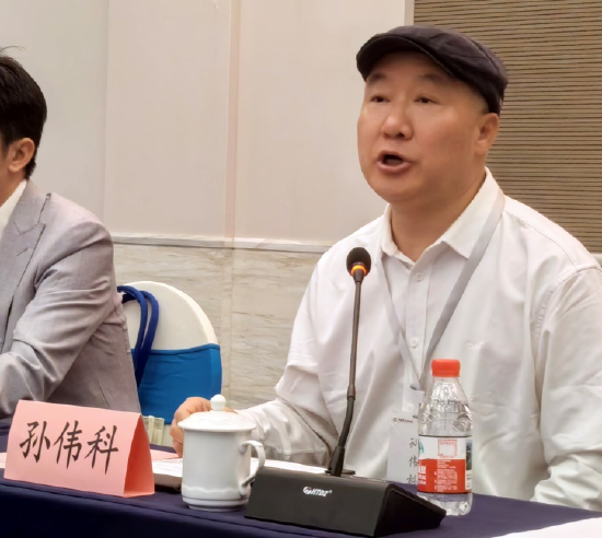 孙伟科从中国人独有的哲学智慧角度阐释红学与苏学的异同之处