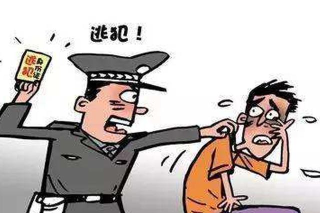 蹭车"蹭出"一逃犯 琼海铁警抓获诈骗网逃