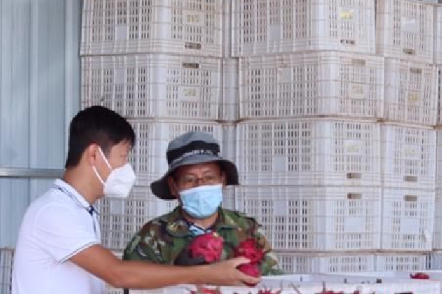 海南疫情期间加大农产品产销对接 供销系统销售约160万斤