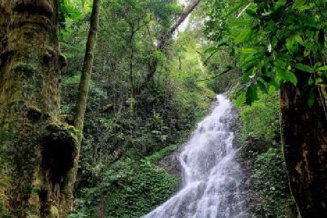 海南在热带雨林国家公园区域内开展打击涉林违法犯