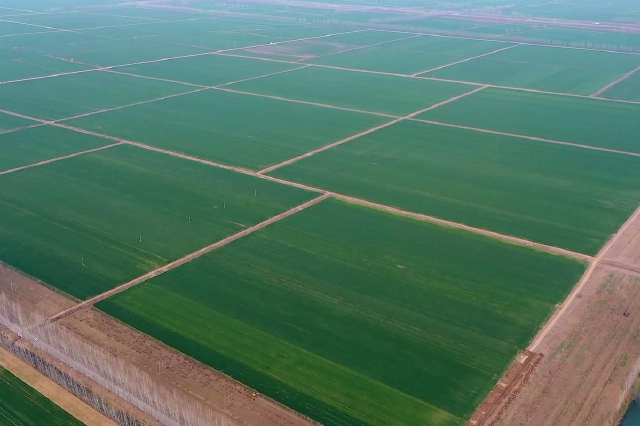 海南省今年计划实施建设20万亩高标准农田