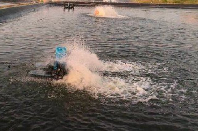 昌江昌化江入海口成为新晋“网红”打卡点