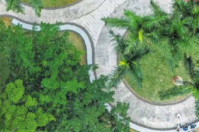海南今年49个“口袋公园”全部建成开园