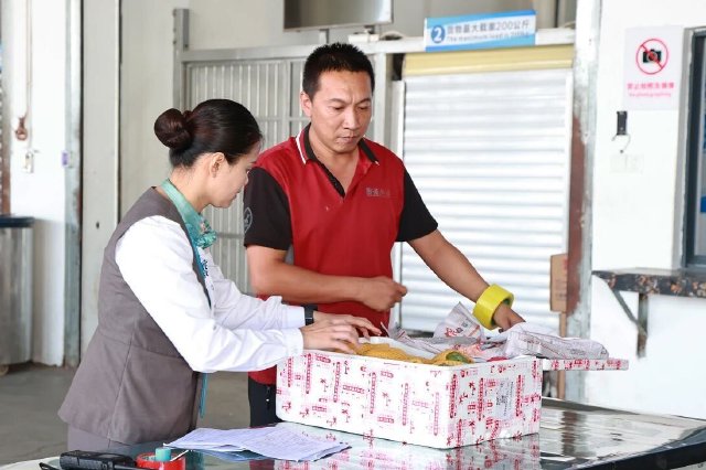 封关在即！三亚口岸各关键要素已准备就绪