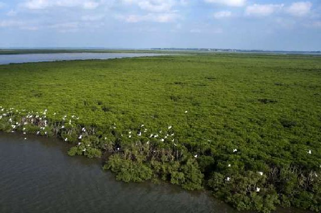 海口市美兰区演丰镇入选国家级“绿水青山就是金山银山”实践