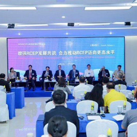 “增强RCEP发展共识 合力推动RCEP迈向更高水平”专题对话（上）