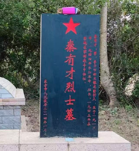 秦有才烈士墓碑（东方市人民政府统一制作）。