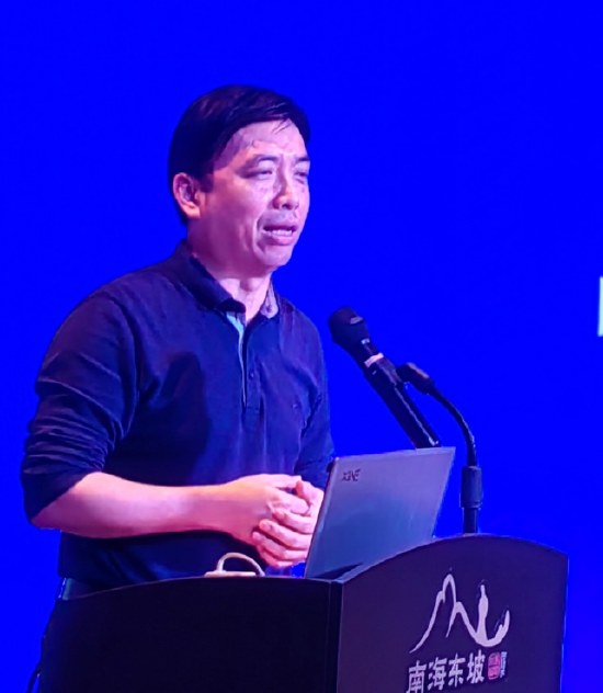 海南日报社编委、法治时报社社长陈成智发言