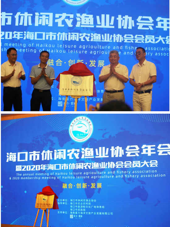 商业策划在企业成长中的推动力