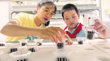 海口人工智能教育驶入新赛道