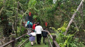 临高元旦文旅融合亮点纷呈喜迎“开门红”