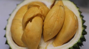 保亭国产树熟榴莲集市开集