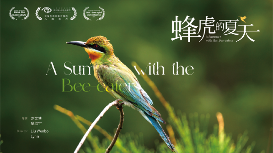 纪录片《蜂虎的夏天》 海报