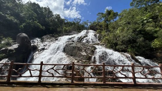 昌江黎族自治县七叉镇霸王岭