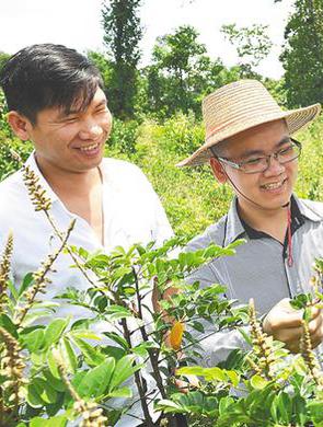 澄迈创业青年王安文:大学生成新农人