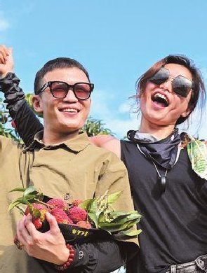 海口：荔果飘香引客来