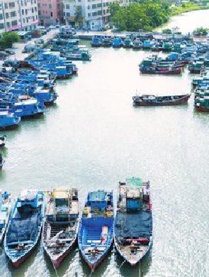 海口渔船已全部进港避风
