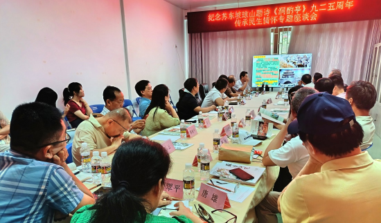 图为“传承民生情怀专题座谈会”现场