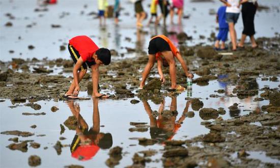 第四届潭门赶海节开幕 打造赶海文化盛宴_新浪海南_新浪网