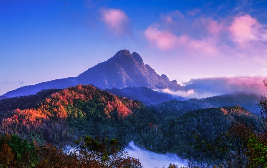 图为五指山热带雨林