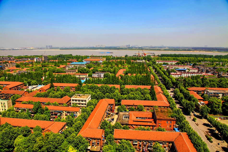 青山红房子里的酸甜苦辣