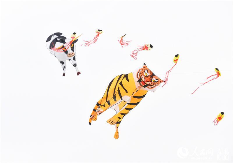 直径达40米!"滚地龙"风筝亮相武汉