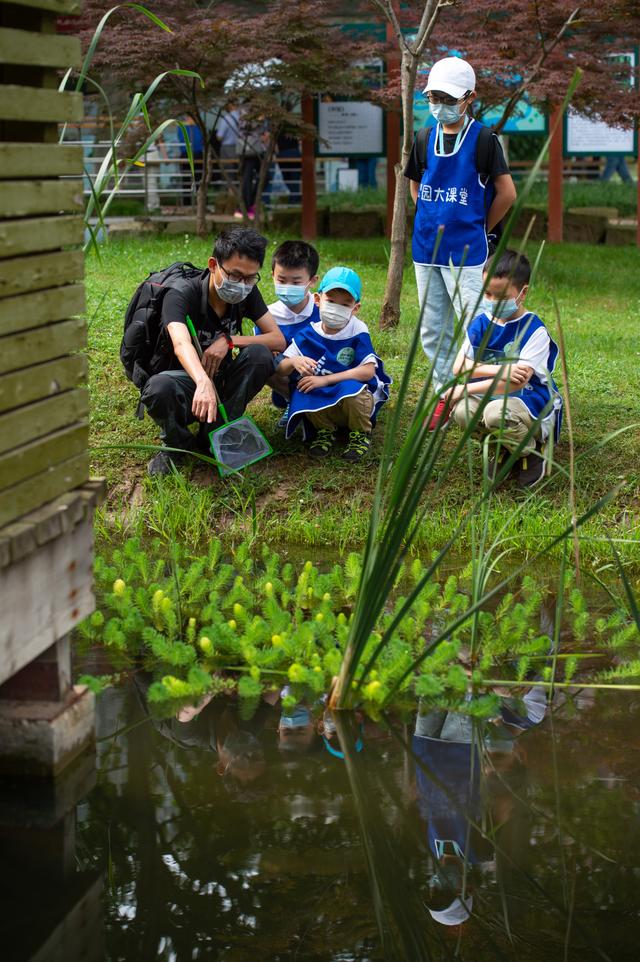 太阳草老师在解放公园小微湿地给小朋友们上自然教育课