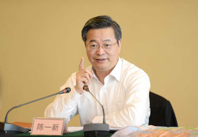 武汉市委书记陈一新新衙门作风是发展的绊脚石