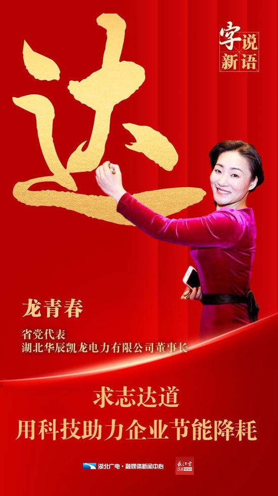 湖北省党代表龙青春：求志达道，做好能源“调度员”
