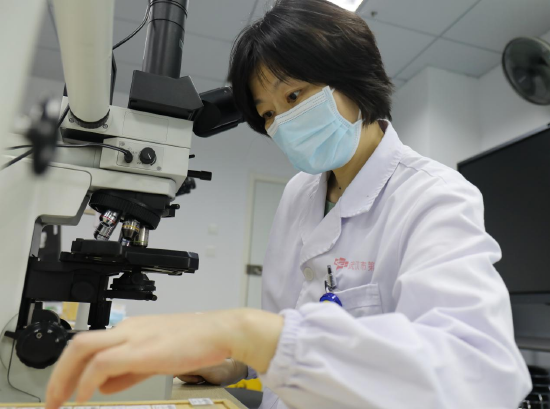 陈柳青主任看病理切片中 通讯员代雨朦 摄