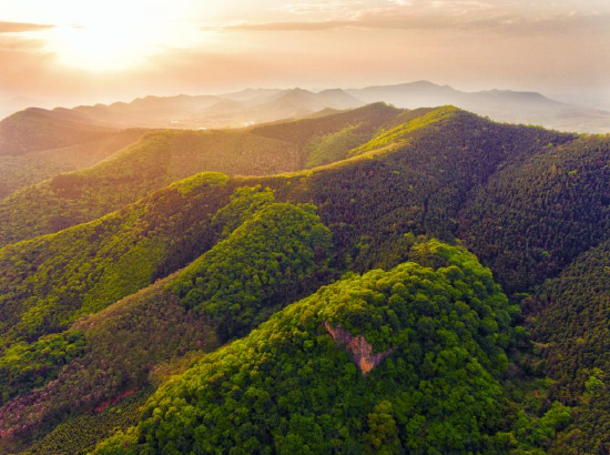 太子山美景