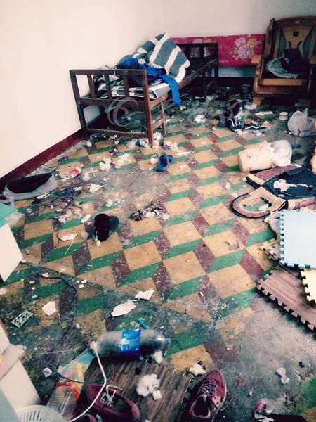 十堰房东遇奇葩租客饭桌上剩菜发霉垃圾堆起1米高