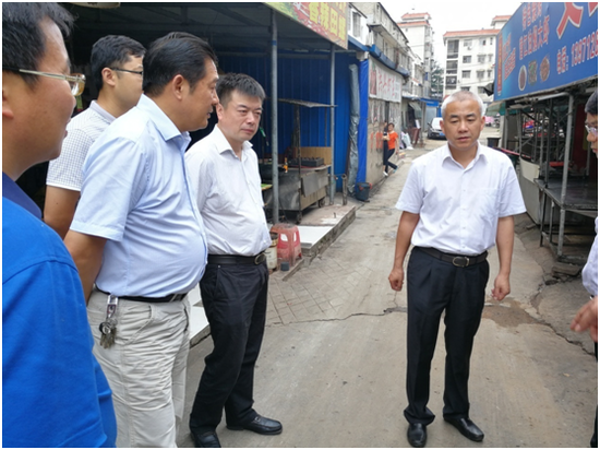 新洲区委书记为城市管理工作"把脉"