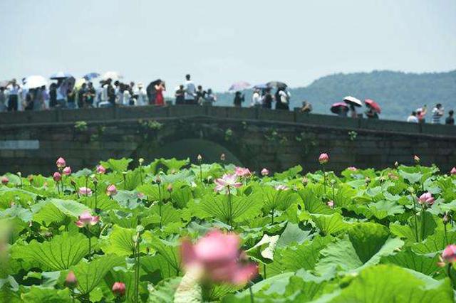 文旅部：端午假期前两日国内游客超3707万人次