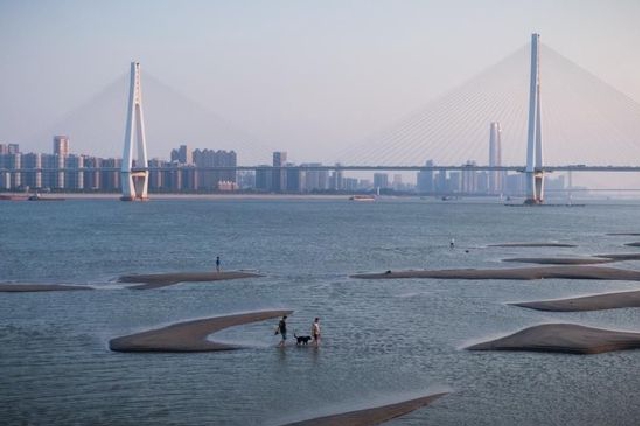 长江武汉段水位持续消退 大片滩涂露出江面