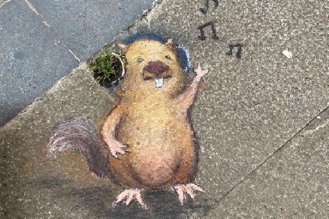 武汉街头小动物涂鸦 萌趣可爱超治愈