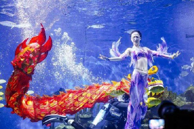 花博汇。 （景区供图）