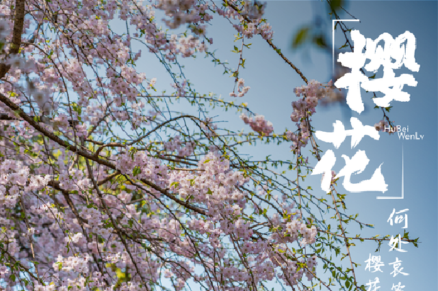 跟着“花神”游湖北，奔赴诗词里的春日浪漫！