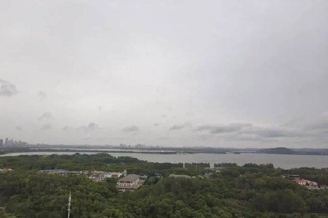 武汉轮渡紧急通知