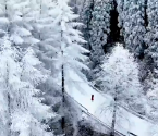 飞瞰高岩子林场雪景