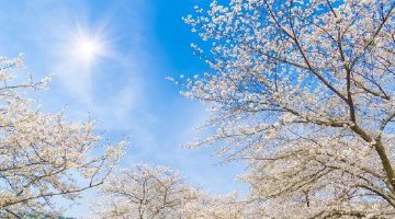 武漢溫度回升最高溫27℃