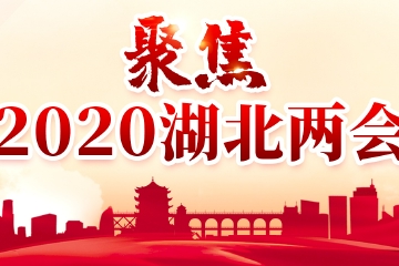 2020湖北两会