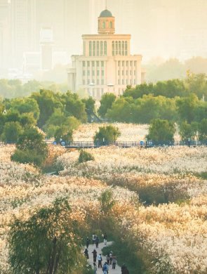 武漢江邊，又又又“下雪”了!