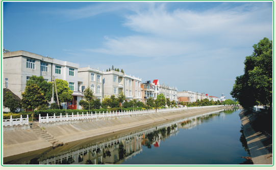 岳口镇健康村深化文明乡村创建助力文明创建