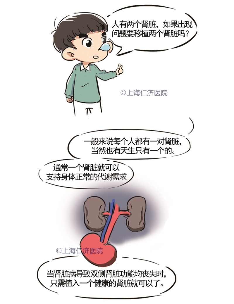 肾移植,你了解吗_高清图集_新浪网