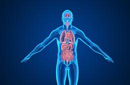 胆结石有哪些不易觉察的症状